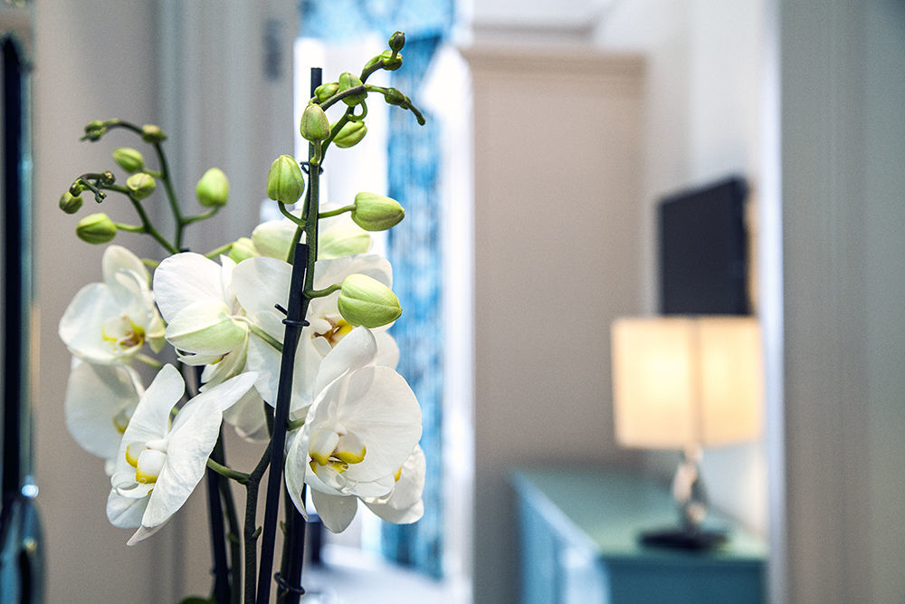The Apartments By The Sloane Club ロンドン エクステリア 写真